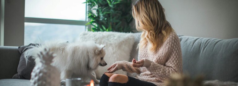 Love, care, and wagging tails